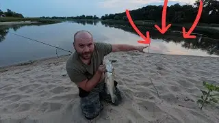 Hier stehen die Zander im Sommer | mit Köderfisch auf Zander