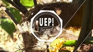 UEP! COM ANAM? [354] - FIRA DEL CAVALL MENORQUÍ, SEGAR FAVES, FERMAR TOMATIGUERES I ESCALDUMS