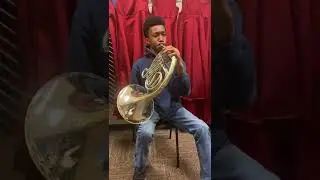 MYP French Horn (scale)