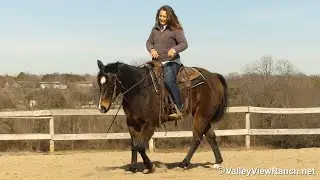Outwest Peppy George - adorable walk, trot, lope, stops, dismount! - @ValleyViewRanch