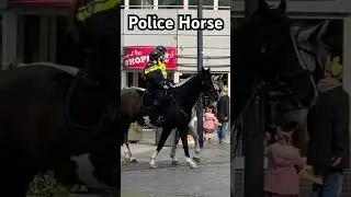 Straight out of movie - Police officers patrolling on horseback #travel #dutch #police #horse