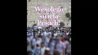 Pesach - Zwyczaje na żydowskie Święto Wiosny