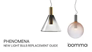 PHENOMENA: New Light Bulb Replacement Guide
