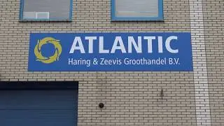 Interview Umut Tagi Atlantic AD Haringtest