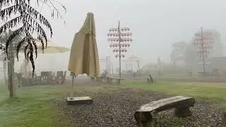 walk no talking asmr, fog, bird sounds, cricket sounds, footsteps, flowing stream sounds