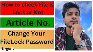 How to Check file lock in Portugal | How to change sef password #portugal #sherazsubhani