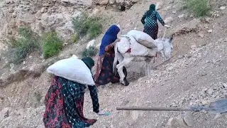 A Hard and Heartbreaking Day in the Life of Nomadic Women in Iran’s Harsh Mountains
