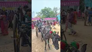 Fun Fiesta | St. Thomas school | Manali 🎉 #daddysonkitchen&vlogs #subbusaran #funfiesta #funny #fun
