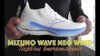 Кроссовки Mizuno Wave Neo Wind: первые впечатления