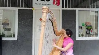 Hire Harpist in Singapore