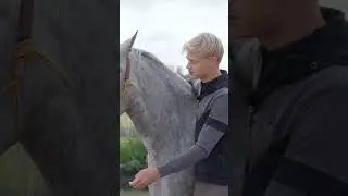 Ever wondered how to start with trick training? Our new video gives you all the answers 🐴✔️🎬