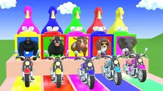 Long Slide Game With Cow Elephant Gorilla Hippopotamus Tiger 3d Animal Game Funny 3d Animals