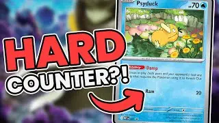 Can Dragapult Dusknoir beat Psyduck? - Lille Regional Championships Top 4