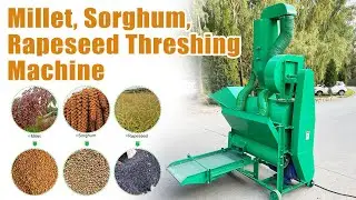 Versatile Threshing Machine: Sorghum, Millet, Rapeseed and More in Action!#thresher #sorghum