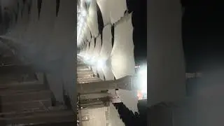 مدینہ منورہ کی معطر فضاؤں میں اذان فجر سماعت فرمائیں 
