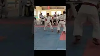 #shorts#viral#karate#song #ippon #indian #karate #kick #shotokankarat#shotokankarate #shotokankarate