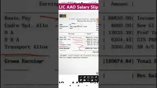 LIC AAO Salary Slip | New Salary #exam #lic #salary #govtjobs #licaao