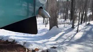 Cold Start 6CT 8.3 Cummins 12V Turbo Diesel Country Coach