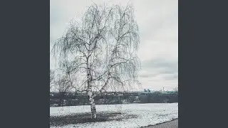 Winter Morning