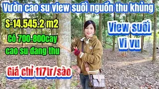 345🌹vườn cao su đang thu mạnh c&oacute; view suối vi vu c&aacute;ch ĐT UBND TH trung t&acirc;m thương mại chỉ 1,7 km