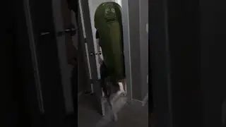 Pickle Rick #pickrick #costume