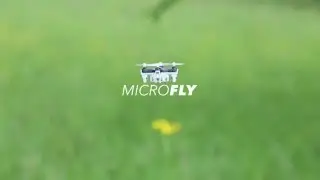 MicroFly