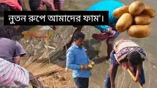 🫡ফামে'র পুকুরে অনেক দিন পর মাছ ধরলাম । পায়রার জন্য নুতন ঘর তৈরি হল।😲#villagefarmingvlogs 