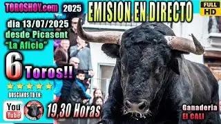 ❤️🟢 6 Toros Bravos Impresionantes en Directo ◾ Picassent 