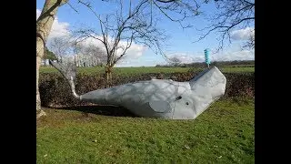 Having a Whale of a Time at Farleys Farm
