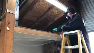 Termite treatment