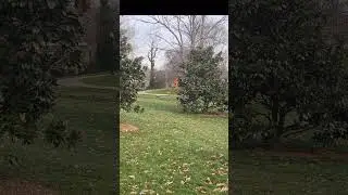 Inches from disaster 🫣 #discgolf #funny #forehand #closecall #shank #viral #fail #viralvideo