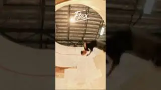 Tony Hawk vs Spiral Loop 😲😲😲