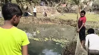 छोटे तालाब में मछली 🐟🐟 पकड़ रहे लोग ।।#machli #shortvideo #trending #vairl #video 