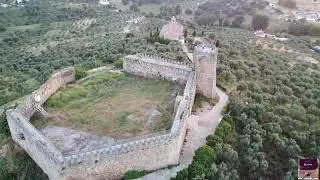 Alanís