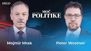 Če politika izvede nujne reforme, tvega poraz na volitvah (dr. Mojmir Mrak in dr. Peter Wostner)