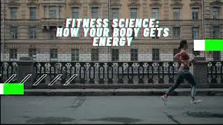 How Your Body Powers Movement: The 3 Energy Systems Explained