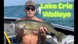 Lake Erie Walleye Limits