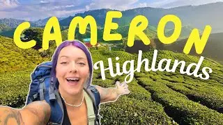 Let&rsquo;s go to Cameron Highlands! solo-backpacking from KL to Pahang