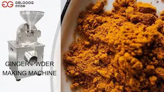 Ginger Milling Machine Turmeric Powder Manufacturing Business