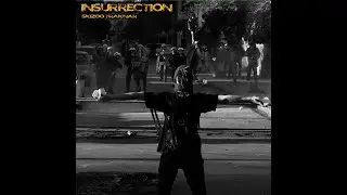 TraKnaR - Skizoo   Insurrection Tribecore to frenchcore (2014)