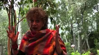 Portraits In Faith: Anna Halprin