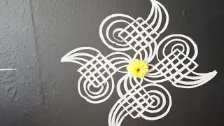 Padi kolam |Beginner's guide|
