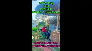 Chamraj Tea Center (Varities of Tea) - Ooty / Coonoor / The Nilgiris