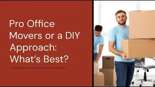 Denver Office Movers or a DIY Approach: What&rsquo;s Best for Your Business?