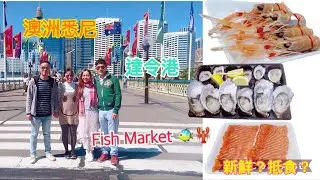 [澳洲悉尼] Fish Market + 達令港~ Day 5 | Janice Wing