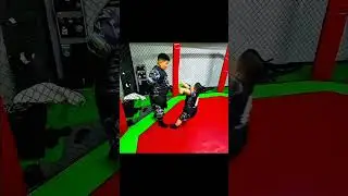 Kung Fu panda 🐼🤣.                        #top5 #funny #minipanda #minipanda #panda #kungfu #kungfuda