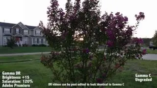 Samsung NX1 Gamma DR vs Gamma C Video Test in 4K