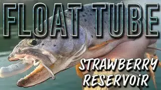 Strawberry Reservoir Trout Fishing: Float Tube and Bank Fishing Tactics