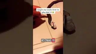 ЧТО может эта змея?! 🤯😂