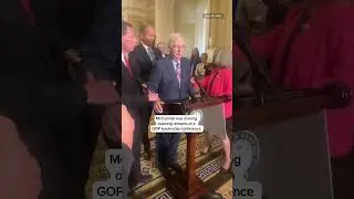 Mitch McConnell freezes during news conference